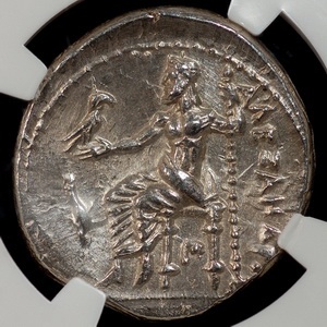 Potential-New-Addition